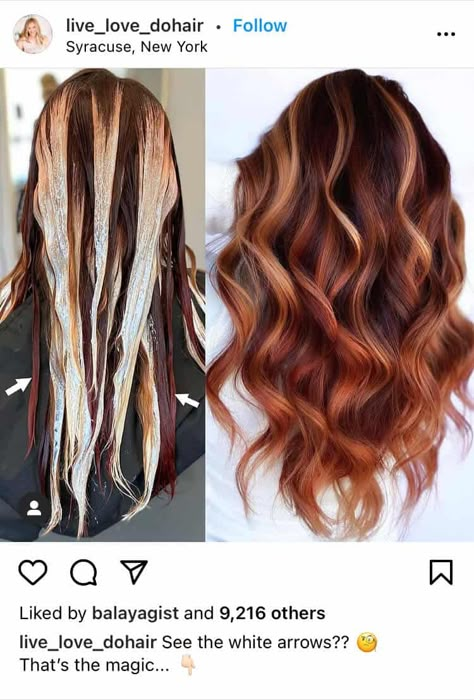 Hair Color Ideas For Red Heads Balayage, Long Red Hair Color Ideas, Copper Blonde Brown Balayage, Dark Fall Haircolor, Copper Gold Balayage Brunette, Ginger Bayalage On Dark Hair, Copper Blend Hair, 2 Color Balayage, Red Ombre Balayage Hair