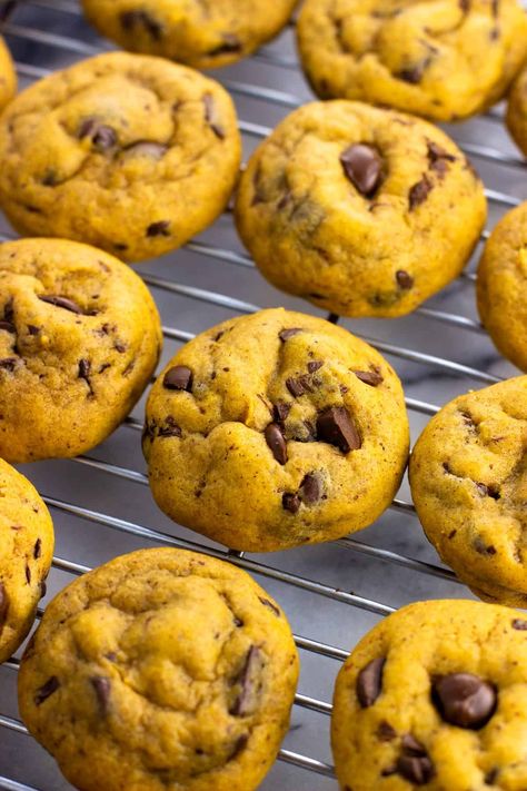 A classic fall treat, these easy pumpkin chocolate chip cookies are on the chewier side and feature a great balance of warm spice flavors. Pumpkin Chocolate Chip Cookies Easy, Vegan Pumpkin Chocolate Chip Cookies, Vegan Pumpkin Cookies, Fall Cookie Recipes, Vegan Pumpkin Spice, Pumpkin Cookie Recipe, Pumpkin Desserts, Vegan Chocolate Chip Cookies, Pumpkin Chocolate Chip