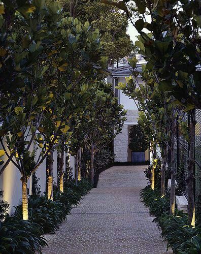 Tree Lined Driveway, Diy Outdoor Lighting, Driveway Entrance, Driveway Design, Driveway Landscaping, Cottage Gardens, Have Inspiration, Garden Pathway, Landscape Lighting