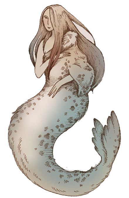 Selkie Study – But first, let me take a selkie Selkie Mythology, 동화 삽화, Mermaids And Mermen, Mermaid Art, Monster Girl, A Mermaid, Creature Art, Mythical Creatures, Fantasy Creatures