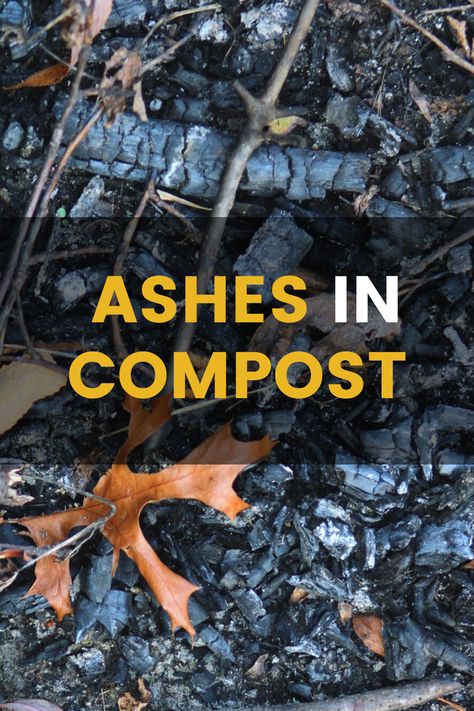 Ashes In Your Compost? What Are The Dos and Don'ts. There are a few tricks for you to know when and how to use ashes as fertilizer or put ashes in your compost. Are ashes good for plants? Can I put wood ash in my compost? Are ashes good for soil? Dive into this article to find these answers. #ash #ashes #compost #composting #ashesincompost #compostpile #vermiculture #vermicomposting #bokashi #organic #healthysoil #woodash #compost101 Ash For Garden, Compost Storage, Vermicomposting Worm Farm, Homemade Plant Fertilizer, Composting 101, Organic Fertilizers, Plant Fertilizer, Interesting Plants, Compost Tumbler