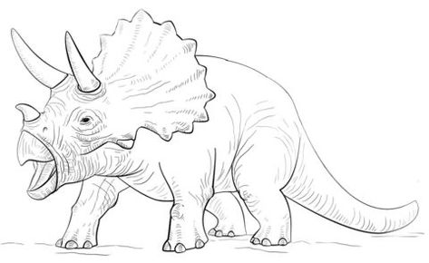 Dino Drawing, Dinosaur Sketch, Dinosaur Images, Dinosaur Drawing, Dinosaur Pictures, Dinosaur Coloring Pages, Dinosaur Coloring, The Good Dinosaur, Unicorn Coloring Pages