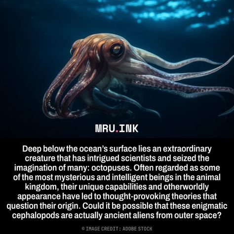 Deep below the ocean’s surface lies an extraordinary creature that has intrigued scientists and seized the imagination of many: octopuses. Often regarded as some of the most mysterious and intelligent beings in the animal kingdom, their unique capabilities and otherworldly appearance have led to thought-provoking theories that question their origin. Could it be possible that these enigmatic cephalopods are actually ancient aliens from outer space? Alien Theories, Swimming In The Ocean, Mysteries Of The World, Creepy Facts, Space Facts, Space Images, Weird Creatures, Ancient Aliens, In The Ocean