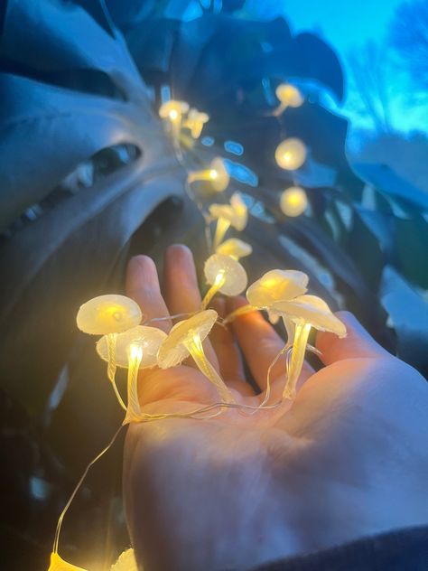 LED Mushroom Fairy String Lights Night Lights Nature Decor Mushroom Decor - Etsy String Fairy Lights, Glowing Mushrooms, Magical Woodland, Garden String Lights, Mushroom Lights, Fairy Home, Mushroom Fairy, Forest Decor, Fairy Decor