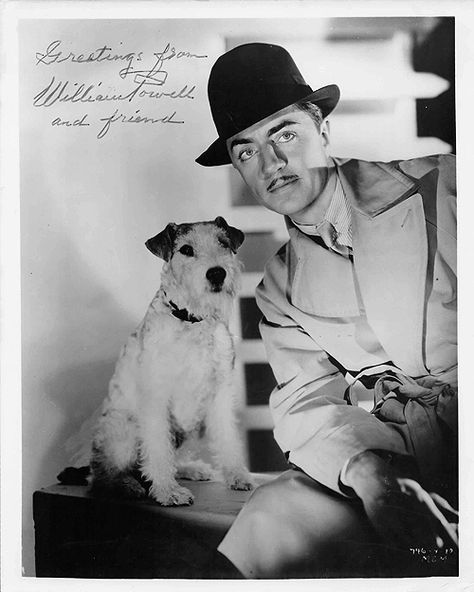 Wire Haired Terrier, Celebrity Dogs, Classic Film Stars, William Powell, Nick And Nora, Myrna Loy, Wire Fox Terrier, Man And Dog, Fox Terrier