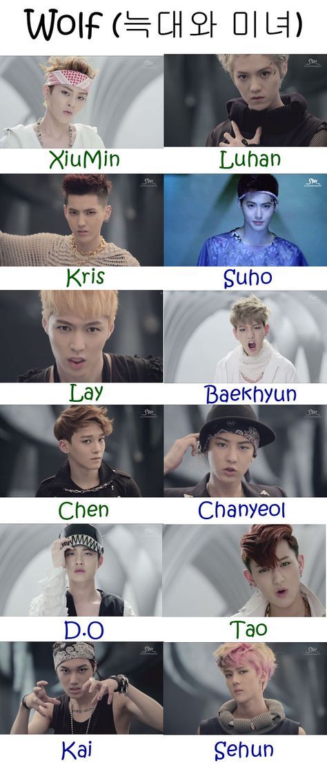 EXO – Wolf (늑대와 미녀) Exo With Names, Exo 12 Members, Exo Members Names, Exo Names, Kpop Names, Exo Group, I Can't Sleep, Exo 12, Gu Family Books