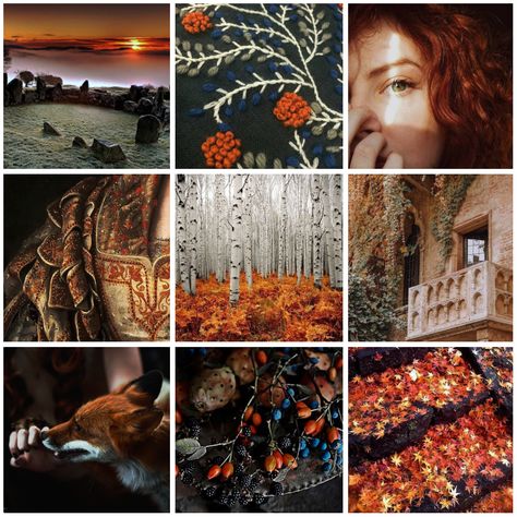 Fire Fox Aesthetic, Fox Moodboard, Asoiaf Aesthetic, Moodboards Aesthetic, Character Moodboard, Autumn Cottagecore, Cottagecore Witch, Moodboard Inspo, Adopt Idea