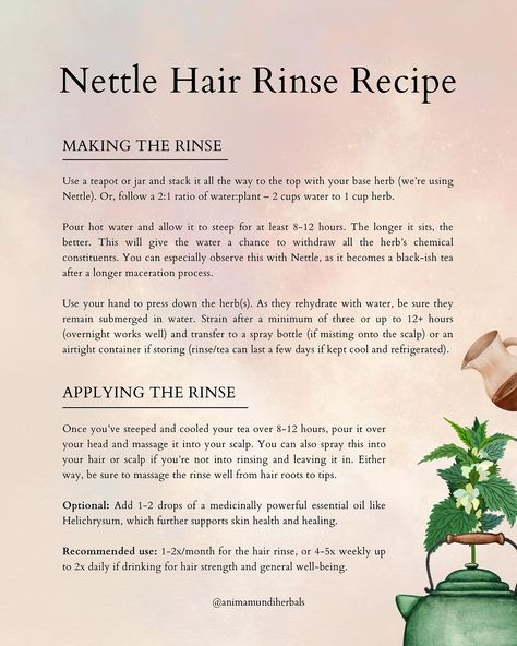 A N I M A M U N D I | 🌹What is the secret to strong hair? 🌹What are ancient recipes that have worked for millennia? From the opulent courts of ancient… | Instagram Life Admin, For Healthy Hair Growth, Ancient Recipes, Beauty Rituals, Health And Vitality, For Healthy Hair, Hair Rinse, Healthy Hair Growth, Humble Abode