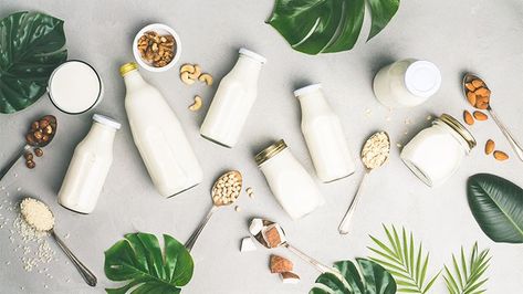 8 Plant-Based Milks to Substitute for Dairy | Everyday Health Milk Substitute For Baking, Best Milk Alternative, Milk Brands, Hemp Milk, Dairy Alternatives, Dairy Free Diet, Vegan Milk, Non-dairy Milk, Milk Alternatives