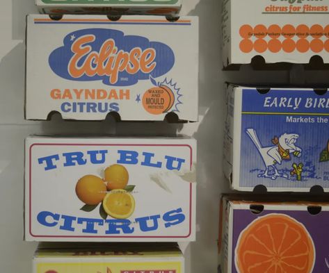 Cartonography art – around Australia in fruit and vegetable boxes | Art and design | The Guardian Vegetable Box Design, Vintage Branding Design, Vintage Fireworks, Veggie Box, Pasta Box, Vegetable Boxes, Fruit Packaging, Fruit Box, Like Art