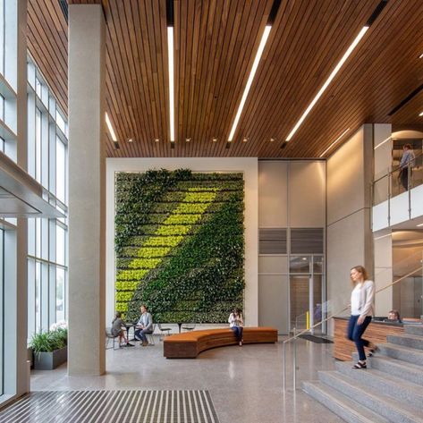 OFFICE architecture and design on Instagram: “a living wall, designed by @trybaarchitects, climbs up this double-height lobby in denver, colorado.⁠⠀ #officedesign #officeinterior⁠⠀ see…” Double Height Entrance Lobby, Lobby Wall Design, Indoor Green Wall, Green Wall Painting, Double Height Entrance, Entrance Lobby Design, Double Height Lobby, School Design Ideas, Ceiling Inspiration