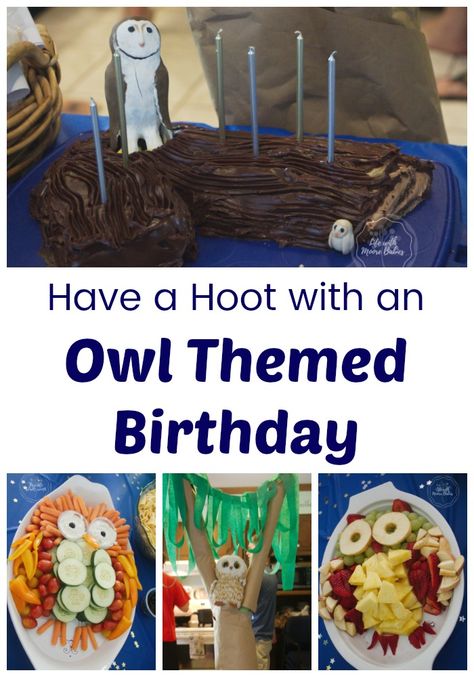 Owl Party Ideas, Owl Themed Birthday Party, Owl Themed Parties, Entertaining Kids, Kids Holidays, Trees For Kids, Owl Birthday Parties, Birthday 2023, 5 Birthday