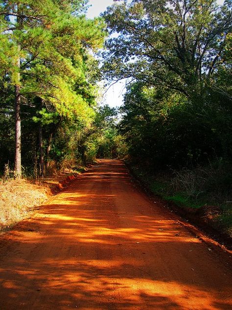 [Red dirt road] "Before us the narrow, sun-splotched road wound like a lazy red serpent" / Get sensory, hands-on activity ideas for ROLL OF THUNDER, HEAR MY CRY by Mildred D. Taylor and 40+ more great books at http://www.litwitsworkshops.com/free-resources/ Sensory Hands, Red Serpent, Dirt Road Anthem, Visit Mississippi, Apostles Creed, Dirt Roads, Red Dirt, Sweet Home Alabama, Dirt Road