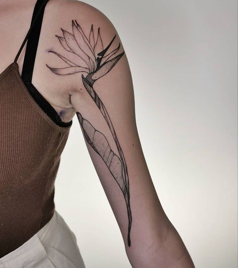 Heliconia Tattoo, Tropic Tattoo, Ohia Lehua Tattoo, Strelitzia Tattoo, Tropical Flowers Tattoo, Tropical Tattoos For Women, Tropical Leaves Tattoo, Tropisches Tattoo, Point Tattoo