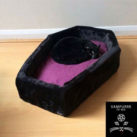 Punkpawsbrand coffin cat dog bed  goth • gothic • pets • Wicca • Wiccan • vampire • vamp • black • horror • witch • witchy • dark • cute • kawaii • purple • home decor • Pet supplies • animal lover • vegan • vegetarian • punk • Metal Goth Craft Room, Emo Home Decor, Goth Office Decor, Diy Gothic Decor, Bohemian Gothic Decor, Communal House, Modern Gothic Bedroom, Vampire Bedroom, Spooky Room