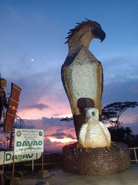 Baganihan, Davao City/09202020 Sm Ecoland Davao, Davao City Philippines, Davao City Photography, Davao City Aesthetic, Davao Del Sur, Travel Philippines, Party Night Club Aesthetic, Night Club Aesthetic, Eagle Statue