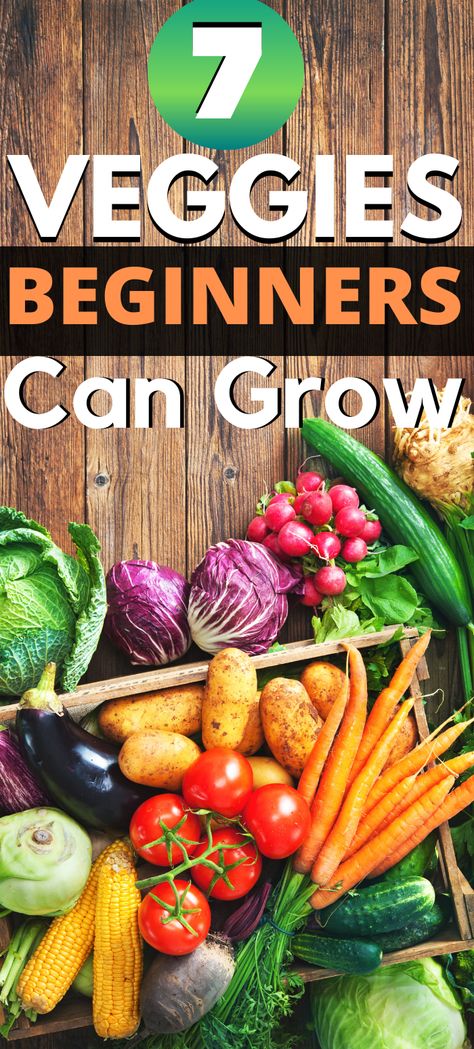 Easiest Vegetables To Grow, Companion Planting Vegetables, Vegetables To Grow, Easy Vegetables To Grow, Vegetable Garden Raised Beds, Bush Beans, Pole Beans, Gardening Hacks, Small Tomatoes