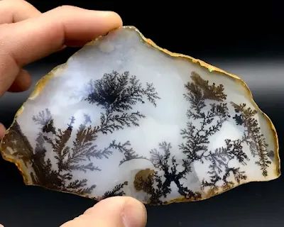 Dendritic Agate Types Of Agate, Agate Rocks, Andara Crystal, Rock Types, Fractal Patterns, Cool Rocks, Dendritic Agate, Crystal Stones, Minerals And Gemstones