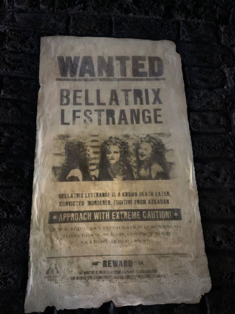 bellatrix lestrange wanted poster|harry potter aesthetic| Black Family Aesthetic Harry Potter, Bellatrix Lestrange Daughter, Bellatrix Black Aesthetic, Bellatrix Aesthetic, Slytherin Collage, Lestrange Aesthetic, Bellatrix Lestrange Aesthetic, Harry Potter Villains, Marauders Characters