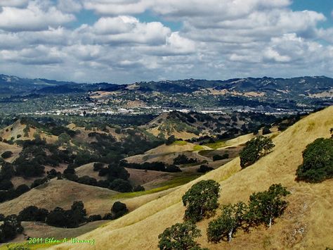 Walnut Creek, fond memories. Walnut Creek California, Nevada Desert, Walnut Creek, Southwest Desert, California Love, California Dreamin', City House, California Homes, Bay Bridge