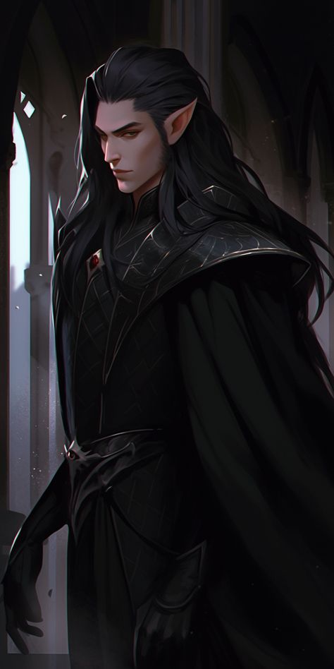 Black Haired Fae Male, Evil King Art, Black Haired Elf Male, Male Elf Black Hair, Elf King Fantasy Art, Dhampir Male Art, Dark Fae Male, Dnd Half Elf Male, Elf With Black Hair