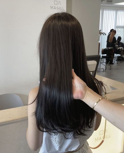 Hair Inspiration Long, Long Dark Hair, Peinados Fáciles Para Cabello Corto, Haircuts Straight Hair, Long Straight Hair, Asian Hair, Hair Black, Hair Inspo Color, Silky Hair