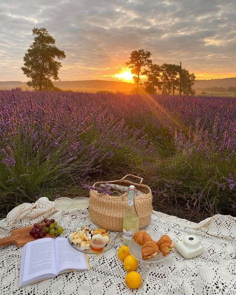 Dream Dates, Picnic Inspiration, Spring Inspo, Picnic Date, Cottage Core Aesthetic, Cottagecore Aesthetic, Spring Aesthetic, Spring Vibes, Jolie Photo