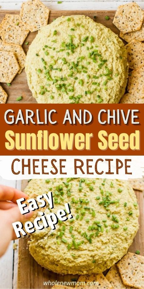 Sunflower Seed Butter Recipes, Sunflower Seed Cheese, Vegan Cheese Recipe, Sunflower Seed Recipes, Vegan Dip Recipes, Cheese Spread Recipes, Raw Cheese, Clean Eating Vegetarian Recipes, Healthy Crackers