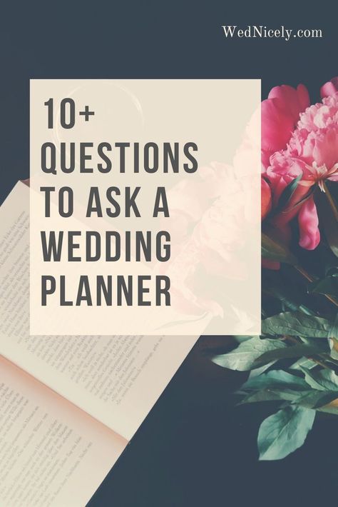 Questions to ask a Wedding Planner Shake Hands, Questions To Ask, Letter Board, A Wedding, You Must, Wedding Planner, Wedding Planning, How To Plan, Book Cover