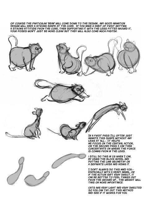 Anatomy Notes, Animation Programs, Character Design Cartoon, Cat Anatomy, Grant Wood, Cat Reference, Animal Study, Drawing Cats, Different Poses