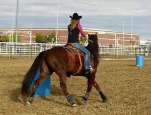 Barrel Racing Drills, Barrel Racing Exercises, Barrel Racing Training, Barrel Racing Tips, Horse Training Exercises, Horse Exercises, Horse Riding Tips, Barrel Racing Horses, Riding Tips