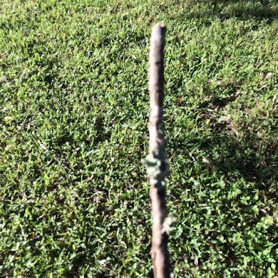 Stick Aesthetic, Baseball Bat, Baseball