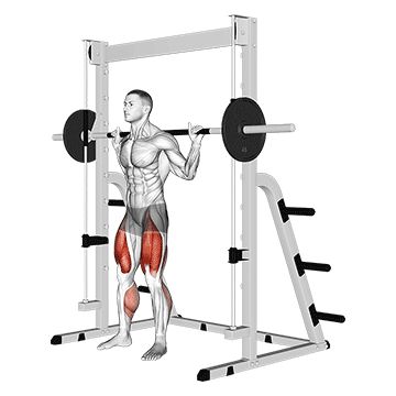 Squats On Smith Machine, Smith Machine Squat, Proper Squat Form, How To Squat Properly, Squat Form, Squat Machine, Barbell Squat, Compound Exercises, Smith Machine