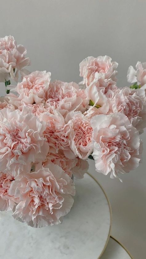 Peony And Carnation Bouquet, Peonies Aesthetic Wallpaper, White Carnations Aesthetic, White Carnations Wedding, Carnations Wallpaper, Carnations Bouquet, Pale Pink Flowers, Flower Boquet, White Carnation