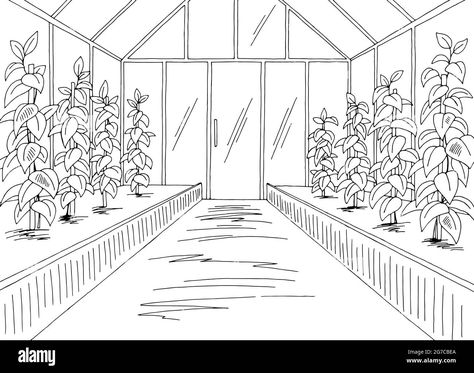 Download this stock vector: Greenhouse interior graphic black white sketch illustration vector - 2G7CBEA from Alamy's library of millions of high resolution stock photos, illustrations and vectors. Greenhouse Sketch Architecture, Green House Drawing Sketch, Green House Sketch, Greenhouse Doodle, Green House Drawing, Greenhouse Sketch, Green House Illustration, Greenhouse Drawing, Greenhouse Wallpaper