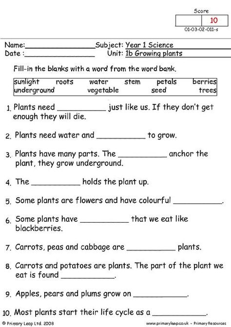 PrimaryLeap.co.uk - Growing plants 2 Worksheet 3rd Grade Science Worksheets, Year 1 Science, Third Grade Science Worksheets, Life Cycle Worksheet, Plant Life Cycle Worksheet, 3rd Grade Science, Plant Lessons, Grade 2 Science, Plants Worksheets