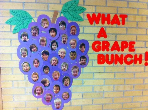 End of the year display. Children were photographed making a funny face and then the pictures were cut and put on 'grape' cut outs. So funny! Grapes Bulletin Board, Fruit Bulletin Board, Fruit Classroom, Preschool Room Decor, Food Bulletin Boards, Preschool Charts, Work Bulletin Boards, Bulletin Boards Classroom Decor, Alphabet Board