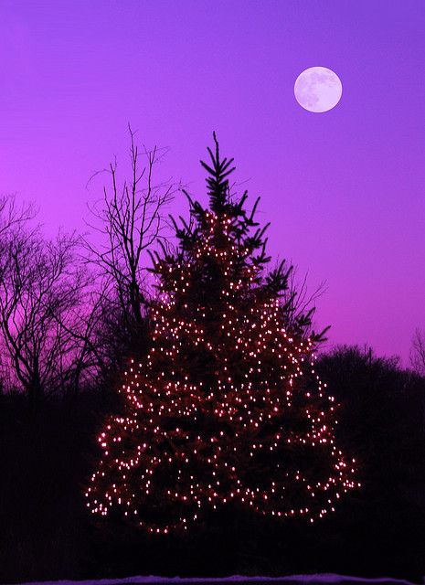 Christmas in Minnesota Purple Christmas, Purple Sky, Christmas Tree Lighting, Christmas Love, Christmas Aesthetic, Country Christmas, Nouvel An, Cozy Christmas, Christmas Pictures