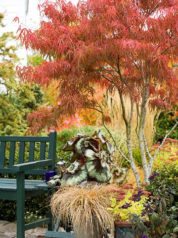 Japanese Maple        Few plants are more beautiful than a Japanese maple in its full fall finery. And happily, there are numerous ways to use this little tree in your yard -- try it as a specimen in a partly shaded spot, for example, or use it as a focal point in a mixed border.        Name: Acer palmatum selections        Size: From 6 to 25 feet tall and wide        Zones: 6-8        Standout Varieties: 'Bloodgood' is a common selection with fine-texture burgundy foliage that turns red in autu Golden Rain Tree, Fringe Tree, Trees For Front Yard, Goth Garden, Japanese Tree, Zen Gardens, Japanese Maples, Japanese Maple Tree, Fast Growing Trees