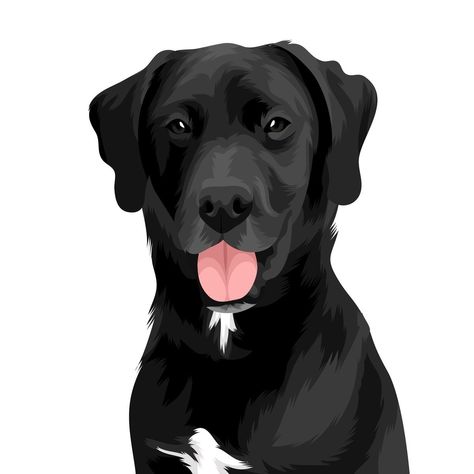 Black Lab Art, Lab Art, Labs Art, Dog Animation, Digital Art Ideas, Pet Vet, Black Labs, Dog Crafts, Pet Art