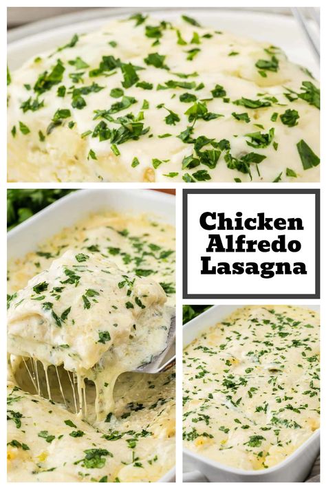 Chicken Alfredo Lasagna is a sumptuous and flavorful dish featuring alternating layers of pasta, ricotta cheese, shredded chicken, mozzarella, sautéed spinach, mushrooms, and a luscious Alfredo sauce. Chicken Alfredo Zucchini Lasagna, Mushroom Chicken Alfredo Lasagna, Chicken Mozzarella, Spinach And Mushrooms, Chicken Alfredo Lasagna, Alfredo Lasagna, Italian Meals, Lasagna Roll, Chicken Lasagna