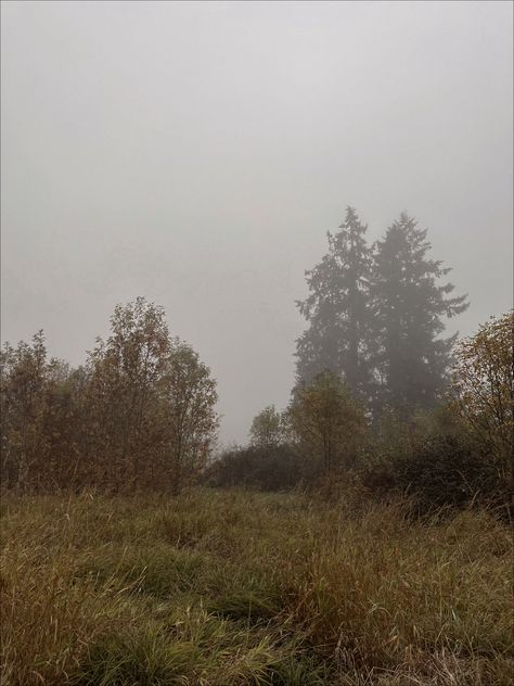 #foggy #fall #hazy #gloomy #park #dark #outdoor #nature #aesthetic #fyp #forest #field Foggy Field Aesthetic, Field Aesthetic Dark, Dark Field Aesthetic, Forest Fog Aesthetic, Gloomy Nature, Dark Naturalism Aesthetic, Foggy Field, Gorillaz Albums, Foggy Fall