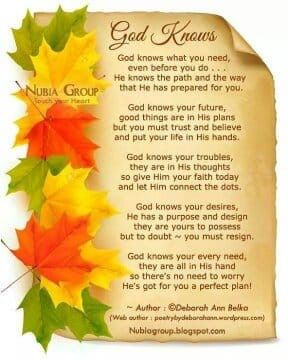 Harvest Poems, Good Morning Poems, New Years Prayer, Thanksgiving Poems, Heaven Poems, Christian Thanksgiving, Christian Poems, Beautiful Sayings, Bedtime Prayer