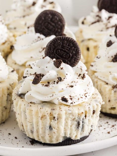 Mini Oreo Cheesecake - girl. Inspired. Mini Cheesecake Oreo, Oreo Mini Cheesecake, Mini Cheesecake Cupcakes, Oreo Cheesecake Cupcakes, Mini Oreo Cheesecake, Homemade Oreos, The Girl Who Ate Everything, Cheesecake Layer, Oreo Cupcakes