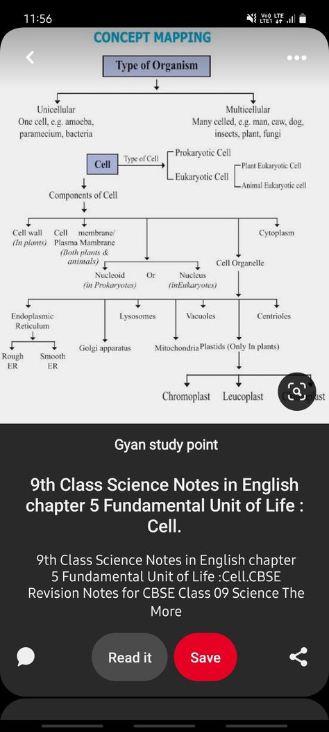 The Fundamental Unit Of Life Notes, Prokaryotic Cell Notes, Economics Notes, Prokaryotic Cell, Nurse Study, Cell Organelles, Science Anchor Charts, Nurse Study Notes, Study Hacks