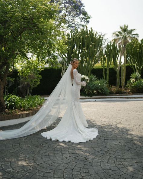 A look back at the beautiful Sophie's delicate, lace, fish tale wedding dress at her incredible wedding to Jamie Laing (MIC) - Congrats to the newlyweds! 🥂😍 Repost IG: @sophiehabboo #wedding #weddingideas #weddinginspiration #weddingdress #dress #bride #bridetobe Emma Macdonald Wedding, High Street Wedding Dresses, Jamie Laing, Wedding Dress Fishtail, Amazon Wedding, Wedding Dress 2024, Wedding Dress Alterations, Sleeved Wedding, Celebrity Wedding Dresses