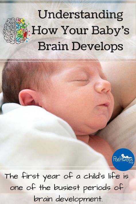 The first year of a child’s life is one of the busiest periods of brain development. Learn how to promote the healthy development of your child’s mind. #braindevelopment #babydevelopment #baby #newborn #firstyears #pediatrics #babyhealth #babybrain #babyhealth Copyright © 2020 Pathways Foundation Newborn Brain Development, Parenting Class Activities, Newborn Brain Development Activities, Montessori Baby Activities, How To Become Smarter, Social Development, Parenting Classes, Brain Development, Development Activities