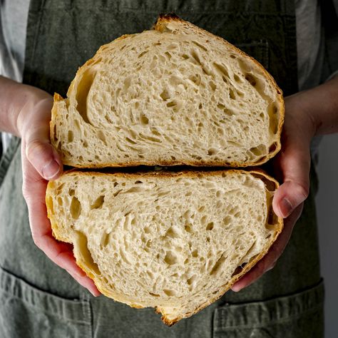 Fluffy Dutch Oven Sourdough Bread (+ Photo Tutorial) | Peak to Plate Fluffy Sourdough Bread, Dutch Oven Sourdough Bread, Dutch Oven Sourdough, Venison Backstrap Recipes, Mini Panini, Sourdough Ideas, Backstrap Recipes, Bread Photo, Making Sourdough Bread