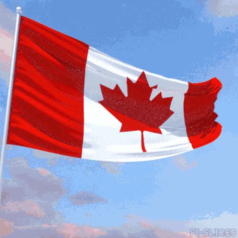 Canada Day Flag, Canada Gif, Flag Gif, Flag Animation, Happy Canada Day, Trevor Noah, Nose Drawing, Artist Collective, Celebration Gif