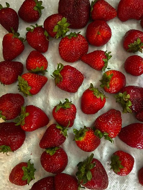 Strawberry Recipes, Pretty Things, Strawberries, Humor, Quick Saves, Humour